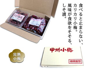 ybB~ڂ2ZbgAzЁJJ~v1kgyiHz