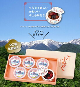 【甲州小梅ぼし】2種の詰め合わせセットA(卓上小鉢付き)【直送品H】