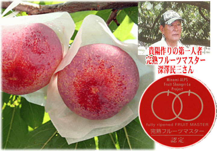 宅配便送料無料 すもも 5キロ 527 - 通販 - anubanssk.ac.th