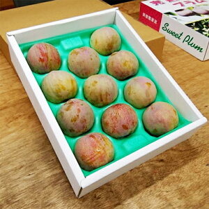 �y�\���_���z2kg���i���d�ʖ�1.6kg�j7�����{�`8����{�����@��A���v�X�s�Y���������Ē����y���Y�������i�z