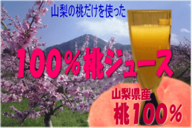 100％桃ジュース【お試し/少量パック】（10缶入）