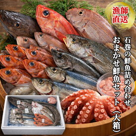 おまかせ鮮魚セット（大箱） 魚 海鮮 とれたて 詰め合わせ 鮮魚 セット 直送 鮮魚ボックス 冷凍魚セット 石巻市 宮城県 魚セット 美味しい 冷凍海鮮 海の幸 魚通販 お取り寄せ 冷凍魚 業務用 家庭用 産地直送 獲れたて 旬の魚 ウロコ 下処理済み 産直 グルメ 送料無料