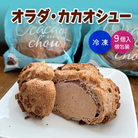《オラダ・カカオシュー9個》【9月より値上げ予定】【年間30万個売れるシュークリーム】かみのやまシュー 上山秀【日時指定可★】個包装 お菓子 スイーツ 冷凍 プレゼント 誕生日 母の日【ギフト・ のし対応可】送料無料※一部地域を除く