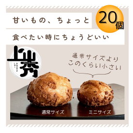 《上山秀ミニサイズ　20個》かみのやまシュー冷凍 お菓子 スイーツ お誕生日 プレゼント 【日時指定可★ギフト・ のし対応可】送料無料 シュークリーム 個包装
