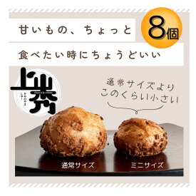 《上山秀ミニサイズ　8個》かみのやまシュー冷凍 お菓子 スイーツ お誕生日 プレゼント 【日時指定可★ギフト・ のし対応可】送料無料※一部地域を除く