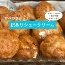 【訳アリかみのやまシュー10個入り】【年間30万個売れるシュークリーム】わけあり エコ フードロス サスティナブル か…