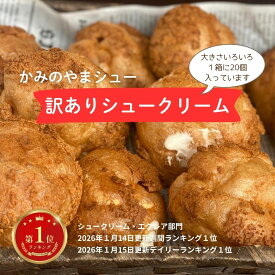 《訳ありかみのやまシュー20個入り》【年間30万個売れるシュークリーム】わけあり エコ フードロス サスティナブル かみのやまシュー冷凍 お菓子 スイーツ 【日時指定可★】送料無料※一部地域を除く