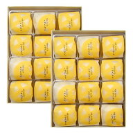 【送料込】かすたどん 24個入 薩摩蒸氣屋 鹿児島銘菓 大容量 蒸し菓子 カスタードクリーム 郷土菓子 お土…