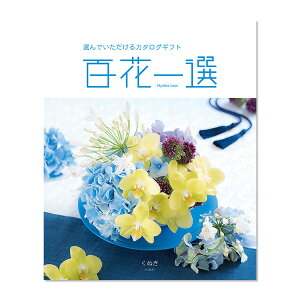 ʂ@SԈI蕨@v[g@j@Ԃ@oY@@Mtg@@A@yY@j