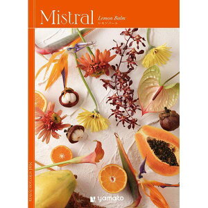 o[@Mistral蕨@v[g@j@Ԃ@oY@@Mtg@@A@yY@j