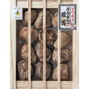 YA-50@i{茧Yjǂ񂱒ő