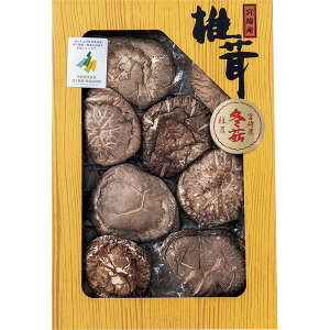 YA-30@i{茧Yjǂ񂱒ő