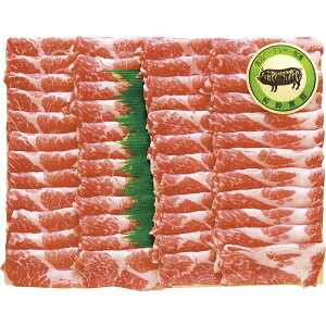 n-511@nӃo[NV[q@BY؂Ԃԗp