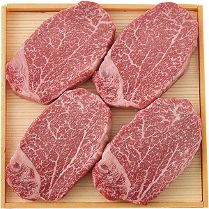 HSM-250@{苍 qiVg[uAjXe[Lp