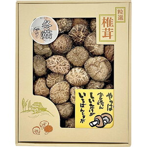 TSD-50@ cX@i{茧Yjǂ