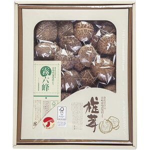 MH-30@͂@i{茧ˑYjǂ