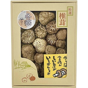 TSD-30@ cX@i{茧Yjǂ