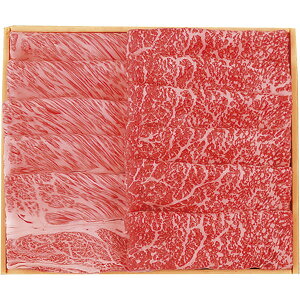 SPC-100@{苍 [XEԂԗp