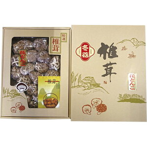 YT-50@ cX@i{茧YjԂǂ