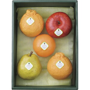 SFB-110@{ D{X@G߂̉ʕl