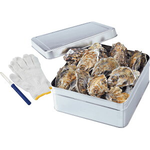 RK-3@ⓀʏăZbg1.3kgi˓CYj