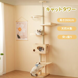 yzLbg^[ L^[ }bg+FDt 260cm Lbgc[ ؐ  艺肵₷ ܂Ƃ|[ X ˂ ؓo^[ lR^[ qL ^
