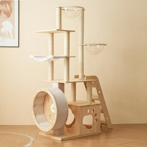 yzLbg^[ L^[ Lbgc[ u jOzC[t 165.5cm ؐ  FD lR^[ 艺肵₷ ܂Ƃ|[ qL ^L yb