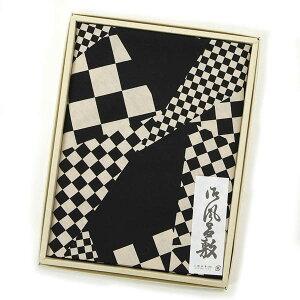 C~ 唻 110cm 100  s  GRobOɂ 