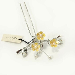   a 񂴂 瑕p K⒅  ~ F×Vo[ Mtg v[gɂ