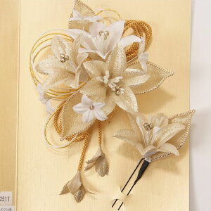  U l  2Zbg     { S[h