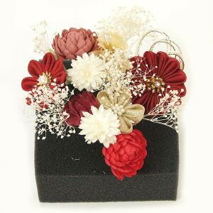  U l  Us 7Zbg V} 񂴂 ܂   { 