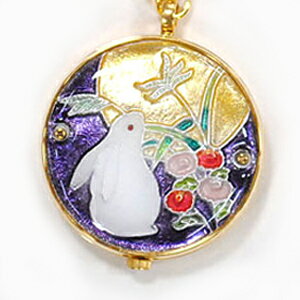 v pɋCiav  vi j yLOiEjEMtgɍœKzy񂹏iz