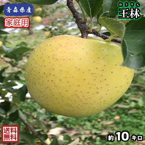 ���F��񂲂̉��l�I�ԈႢ�Ȃ�����������񂲂���񂲂̃v���̓X�������I���Ă��͂����܂��I�I�y���������z�X���Y�@���с@�ƒ�p�@10Kg(��10�L��)�@ �Ӑ����񂲁@�H�i�@�ʕ��@�t���[