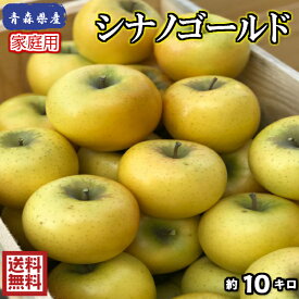 楽天市場 山金りんごの通販