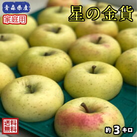 【送料無料】数量限定！お試し品！青森県産　星の金貨　家庭用　3kg(約3キロ)　 晩生種りんご　食品　果物　フルーツ　お取り寄せグルメ