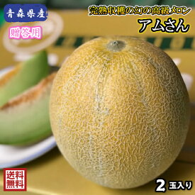 楽天市場 山金りんごの通販