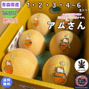 【予約商品】　【送料無料】青森県産　 アムさん　贈答用　1・2・3・4～6玉入り(約1.2キロ～8キロ)　 メロン　つがり…