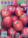 数量限定！【クール便送料無料】青森県産　シナノレッド　家庭用　5kg(約5キロ） 早生種りんご　食品　果物　フルーツ…
