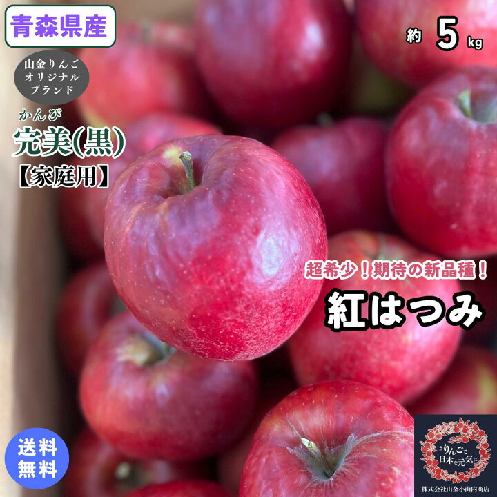 楽天市場】残りわずか！在庫限り特別価格！数量限定！超希少！！【送料 