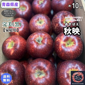 ݌ɂ킸Ȃ̂ł߂ɁIyzXY@Hfi΂j@ƒp@10kg(10Lj 񂲁@Hi@ʕ@t[c@񂹃O