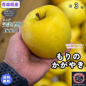 ɏ̐H̉F񂲁IyzʌIXY@̂₫@ƒp@3kgi3Lj 񂲁@Hi@ʕ@t[c@񂹃O