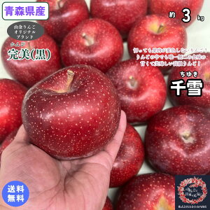 ؂ĂϐFȂ񂲁IyzʌIiIXY@i䂫j@ƒp@3kg(3L)@ 񂲁@Hi@ʕ@t[c@񂹃O