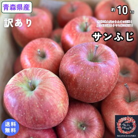 見た目は訳ありでも味は最高！！とにかくいっぱいりんご食べて！！【送料無料】青森県産　サンふじ　訳あり　10Kg(約10キロ)　 晩生種りんご　食品　果物　フルーツ　お取り寄せグルメ