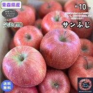 りんごの王様！間違いなく美味しいりんごをりんごのプロの店長が厳選してお届けします！！【送料無料】青…