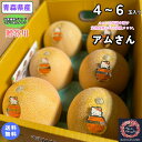 【予約商品】【送料無料】青森県産　 アムさん　贈答用　4~6玉入り(約8キロ)　 メロン　つがりあんメロン　食品　果物　フルーツ　お取り寄せグルメ　お中元