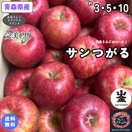 【送料無料】お試し品！青森県産　サンつがる　家庭用　3・5・10kg(約3・5・10キロ） 早生種りんご　食品…
