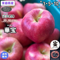 【店長激推し！とにかく食べてみて！！】りんご業界、期待の新品種！【送料無料】青森県産　華宝　（かほ…