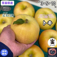 【山金りんごトキ解禁！】完熟したトキだけを目利きの店長が厳選してお届け！！【送料無料】お試し品！　…