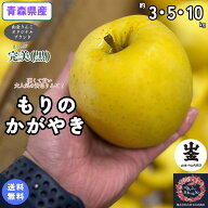 極上の食味の黄色りんご！【送料無料】数量限定！青森県産　もりのかがやき　家庭用　約3・5・10kg（約3…