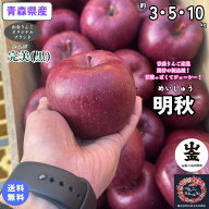 とにかくまずは食べてみて！甘酸っぱくてジューシーな期待の新品種！【送料無料】青森県産　明秋　(めい…
